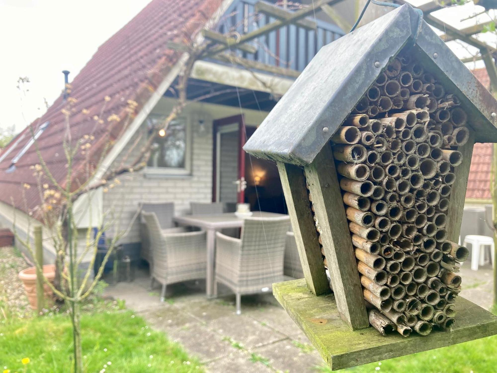אנג'ום De Druif 6 Pers Holiday Home Close To The National Park Lauwersmeer מראה חיצוני תמונה